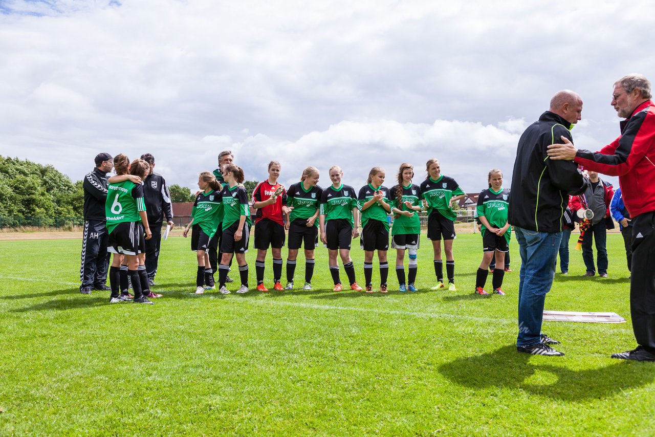 Bild 301 - C-Juniorinnen Landesmeister Finale SV Wahlstedt - TuRa Meldorf : Ergebnis: 1:4